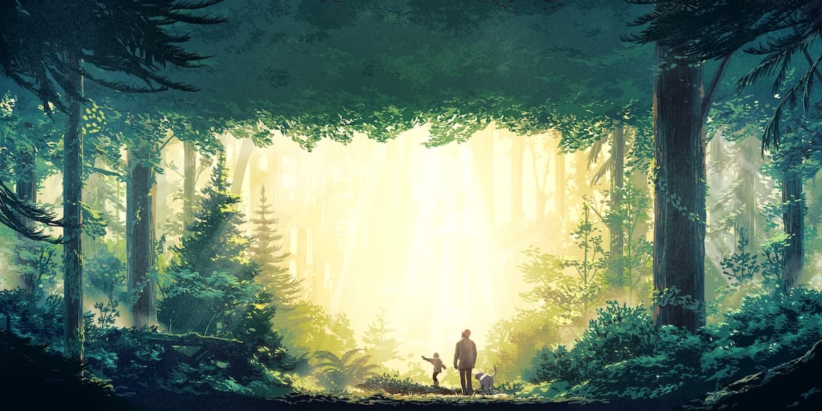 cover-image